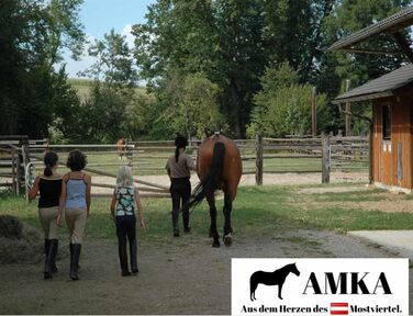 AMKA Попона для коня водонепроникна 600D дихаюча, для вулиці