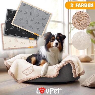 Водонепроникний плед для собак, флісова ковдра для тварин, ковдра для котів + 3 іграшки для жування, для середніх та великих собак, котів, 152 x 127 см, XL, ручне прання, двосторонній чохол для дивану, захисний, Бежевий XL (152 x 127 см)