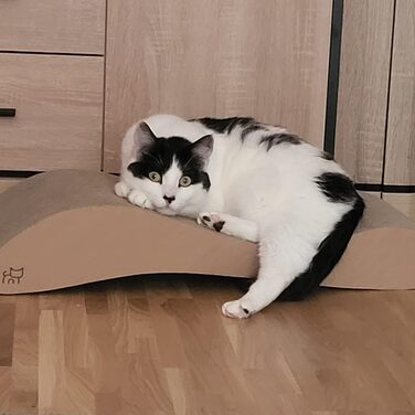 Кігтеточка для котів з картону, лежанка Lounge, кігтешкребок з гофрокартону, захист від пошкодження меблів - кігтеточка з картону 68×25×13 см (аромат котячої м'яти)