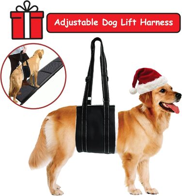 Рампа для собак у вантажівки та позашляховики, складна, 160 см, з килимком, для старих собак, 160 GY, довжина 158 см