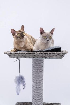 Дряпка для котів Petrebels Caribbean Love 141 см, сіра, натуральний матеріал