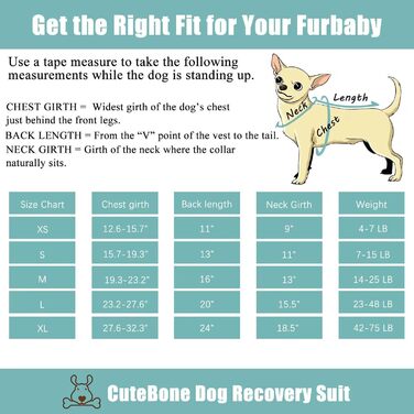 Комбінезон для собак та котів CuteBone Skulls післяопераційний, середній, для захисту ран, SSF05M-DE