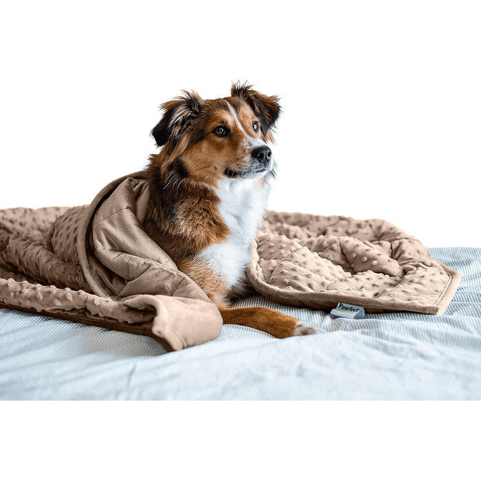 Важка заспокійлива ковдра для собак Nappy Puppy L, м'який Minky, гіпоалергенні скляні кульки, для тривожних собак, коричнева, 2,7 кг