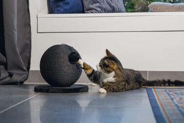 Karlie Kratzball Bolly - іграшка-дряпалка для котів, 30,5 x 30,5 x 28 см, чорний колір