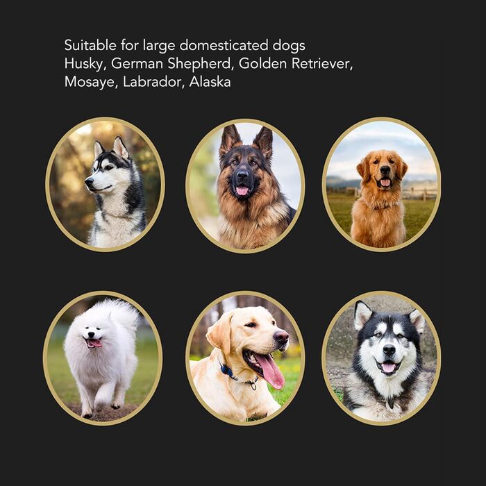 Автоматичний мийка лап для собак, бездротова, чорно-біла