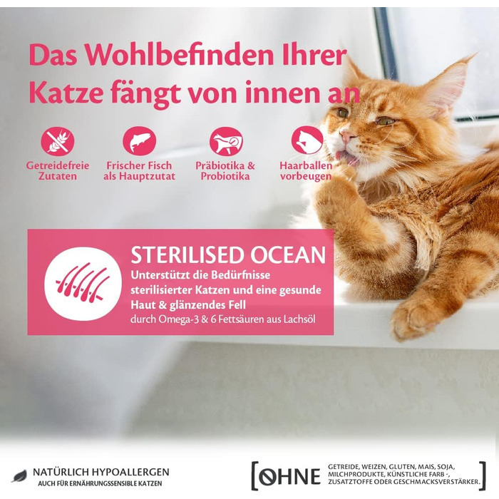 Сухий корм для котів Wellness CORE Original Стерилізовані, Лосось (Океан), 4 кг