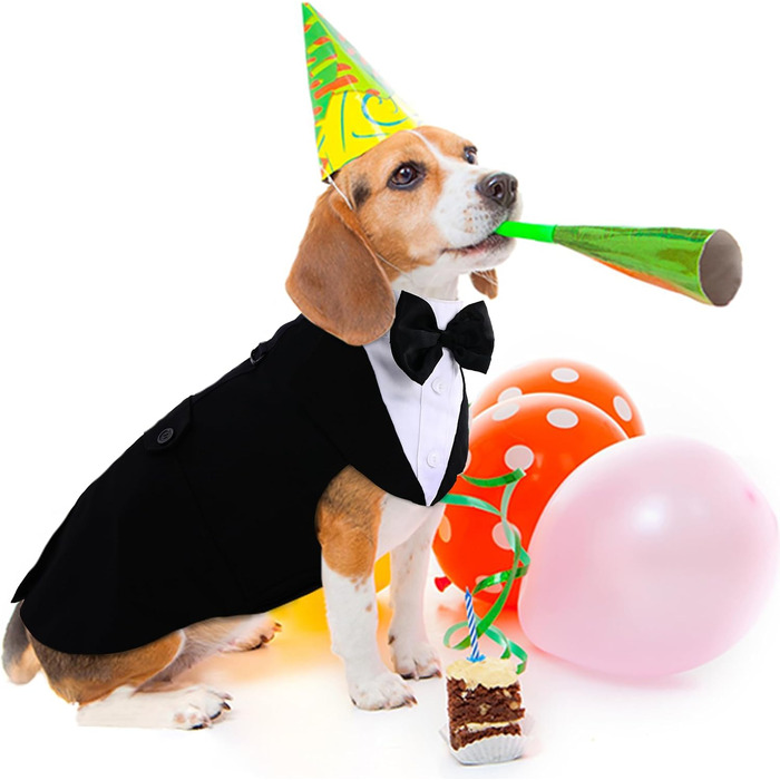 Елегантний костюм для собак: 2 шт. (фліга та бандана), чорний, L