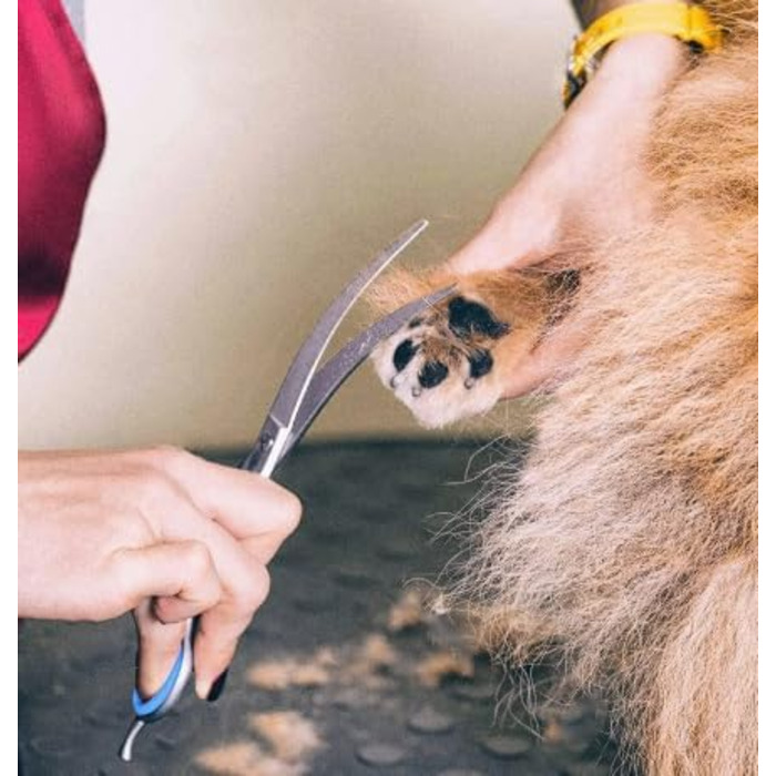 Професійна шерстьострижуча ножиці з нержавіючої сталі для собак та котів, ергономічні ручки, точне різання, довговічні та безпечні, ідеальні для грумінгу вдома та в професійних салонах