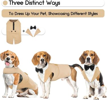 Костюм для собак, бандана, аксесуари для святкування: весілля, день народження, Хелловін (XXL, шампань)