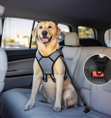 Ремінь безпеки для собак в авто: 2 шт., чорний, 60 см, з регулюванням та амортизацією