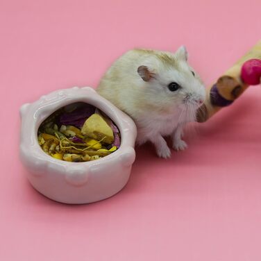 Миска для тварин LuckyOpt Kleiner Keramik, зелена, для хом'яків, кроликів, їжаків, морських свинок