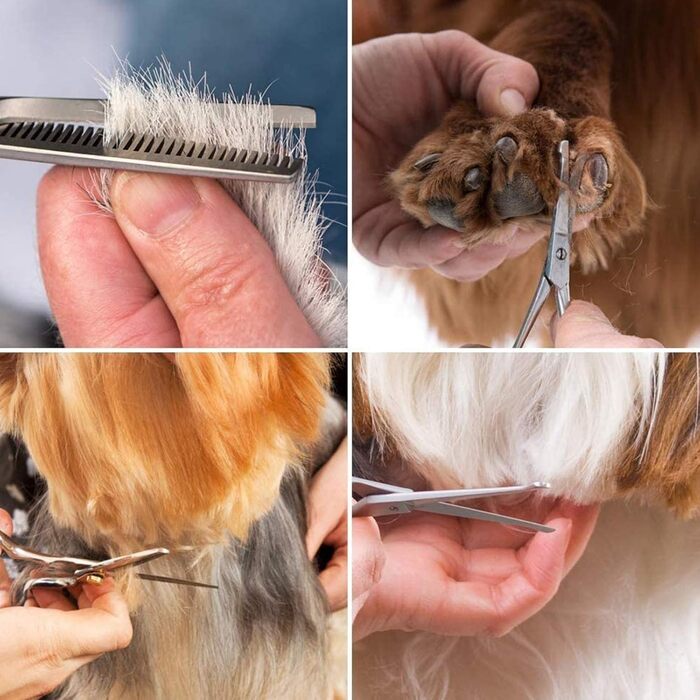 Набір професійних ножиць для грумінгу собак та котів з нержавіючої сталі 5-в-1, з гребінцем та чохлом