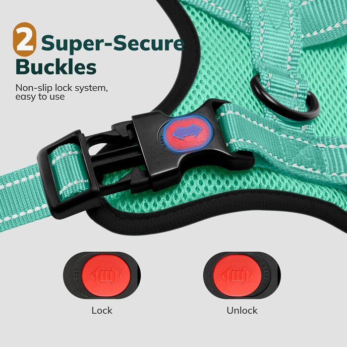 Нашийник для собак FAYOGOO з відбиваючими елементами, без чіткого обмеження, м'який, з підкладкою, для маленьких, середніх та великих собак, зелений, XS