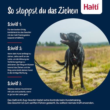 Нашийник HALTI No Pull для собак - запобігає потягування, м'який, світловідбиваючий, регульований (Dunkelorange, M)