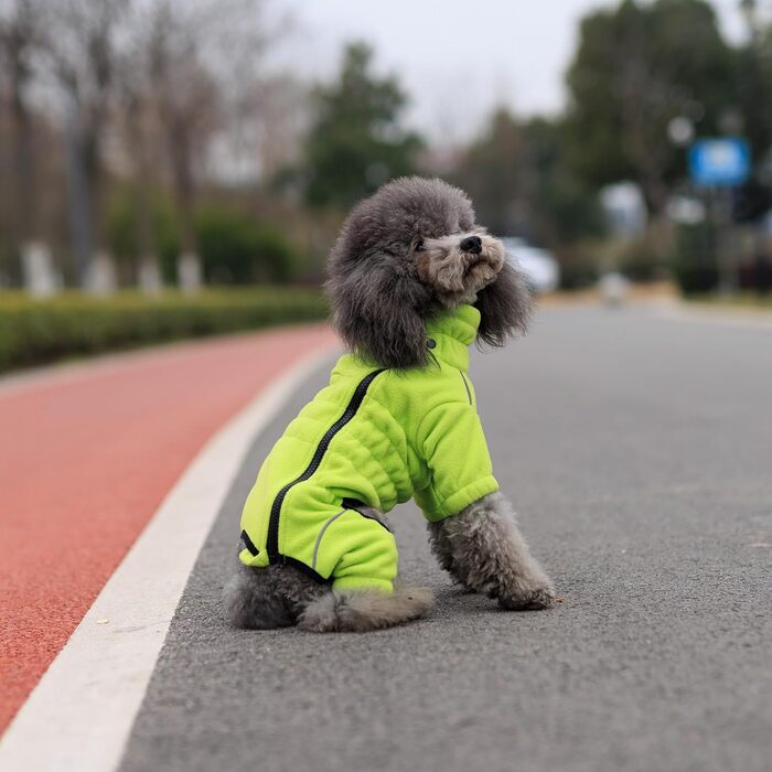 Зимовий теплий одяг для собак, тепла куртка для собак, флісовий одяг для собак з блискавкою, одяг для собак на вулицю Green XXL