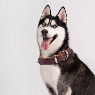 Нашийник для собак з натуральної шкіри, великих та екстра-великих порід (колір коричневий, розмір M)