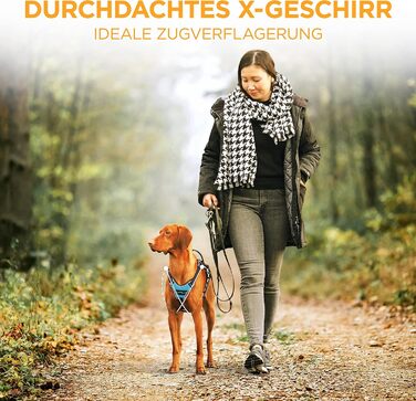 Шлейка для собак відбиваюча, з м'якою підкладкою, для собак маленьких та великих порід, синього кольору. Анти-тяга, регульована.