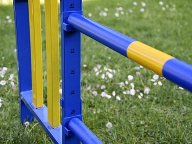 Набір для аджиліті для собак PROCYON - професійний тренувальний комплект, відповідний стандартам FCI