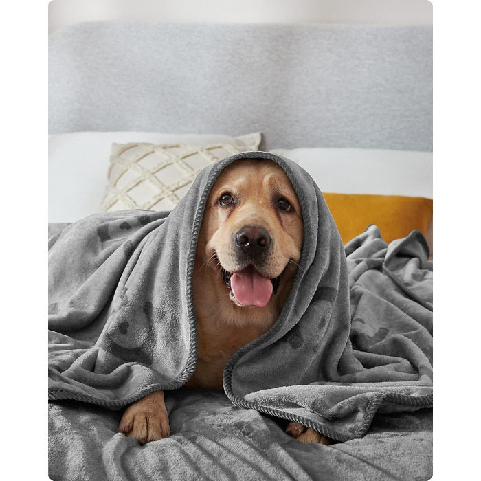 Набір з 3-х простирадл для собак Feandrea, 152x127 см, фланель, сірий, для середніх та великих собак, захист дивану