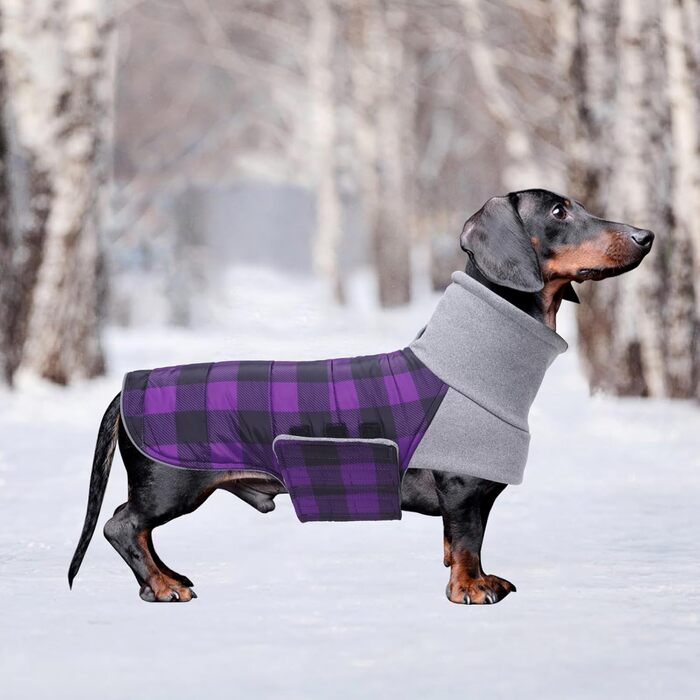 Зимовий нашийник для собак Dachshund від Geyecete, водовідштовхуючий, з отвором для повідка, теплий пуловер для маленьких собак, червоний (S, в клітинку фіолетовий)