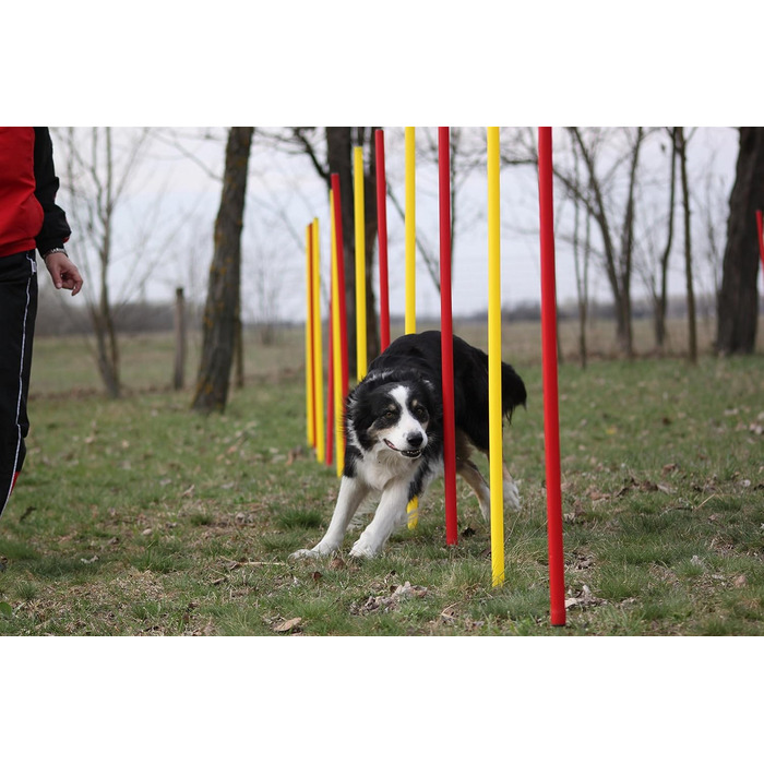 Набір для тренувань Wuzzmann Agility - Слайт-конуси (12 шт), червоно-жовтий