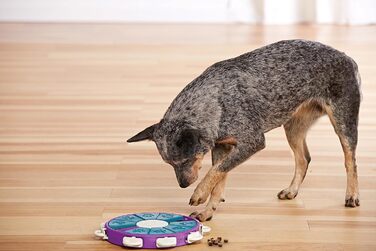 Інтерактивна іграшка для собак Outward Hound Nina Ottosson Dog Twister для ласощів, рівень «просунутий»