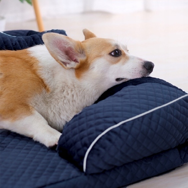 Вольєр для собак Be-Active.pl, синій, 90 см x 67 см