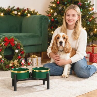 Керамічна годівниця для собак на підставці з нержавіючої сталі - подвійний набір мисок для собак, невеличких та середніх порід - неслизький набір мисок для корму та води - 350г / 660мл - 15см - сірий M сірий