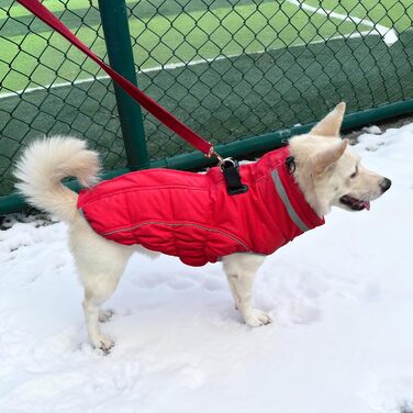Водонепроникний та вітронепроникний теплий накидка для собак, розмір M, червоний. Підходить для цуценят та маленьких/великих собак, з інтегрованим повідком. (Getaway Solids)