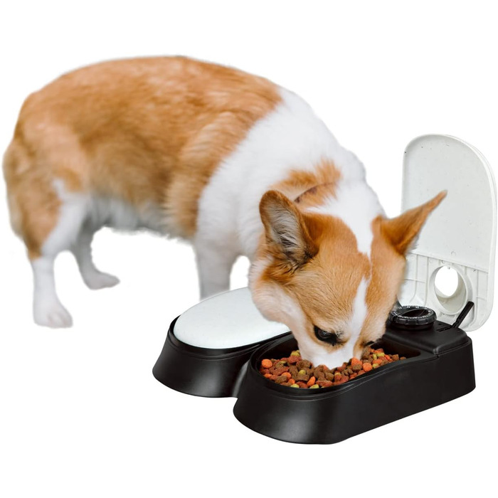 Автомат для котячого корму PAWISE: програмований диспенсер для вологого корму з таймером, безпечний та зручний