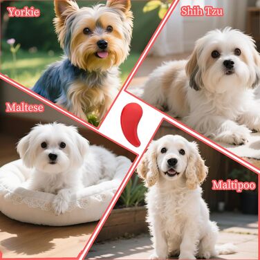 Щітка для собак у вигляді коми, підходить для Йоркширського тер'єра, Ши-тцу, Мальтезе, Мальтіпу, Померанського - м'які щетинки для легкого видалення шерсті, аксесуар для цуценят (Рожеве золото) (Рожевий)