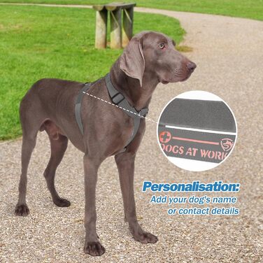 Шлейка для собак FeimaX великих порід, тактична, не тягне, дихаюча, комфортна (XL, сіра)