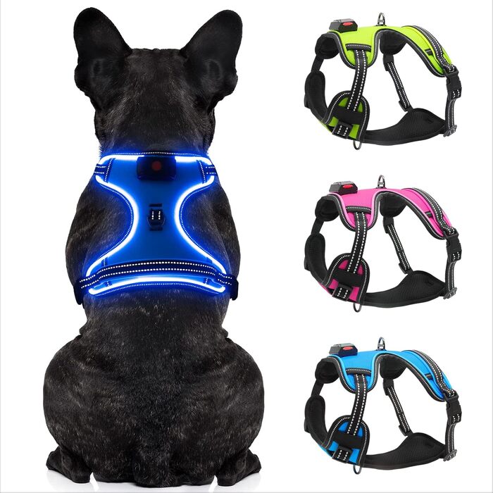 Світлодіодна шлейка для собак з LED-підсвічуванням, перезаряджувана, RGB, блакитна, XS
