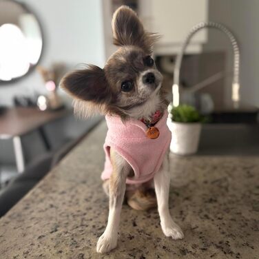 Тепла жилетка JACKO & CO для собак та котів з кільцем для повідка – м'яка, легка, дихаюча (XXL, Рожева)