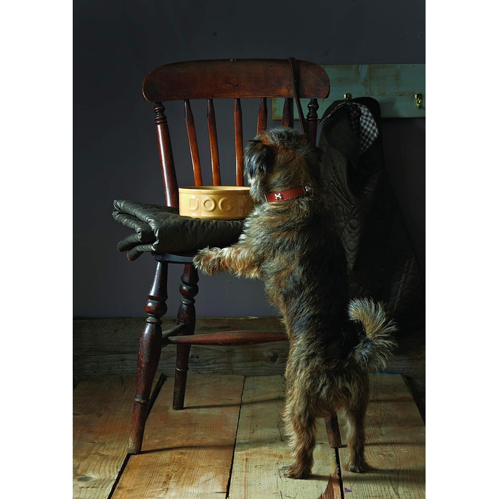 Миска для собак Mason Cash з порцеляни, з ручкою та синім написом, 15 см