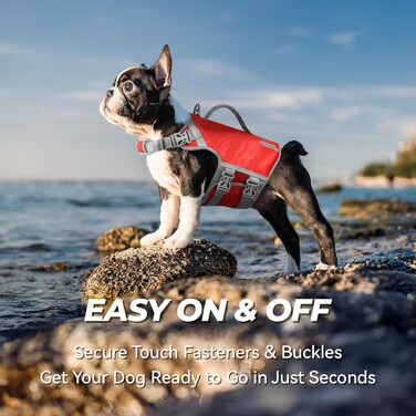 Жилет рятувальний для собак VIVAGLORY Neoprene, L, блакитний - жилет для плавання, безпечне боутінг