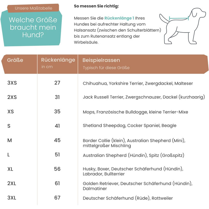 Водонепроможний та вітрозахисний софтшел-дощовик для собак, світло-блакитний, розмір M