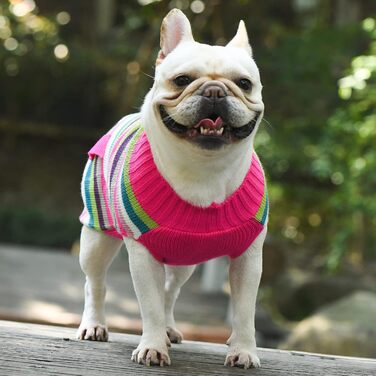 Стильний рожевий полосатий пуловер з коміром для собак, XS - теплий та зручний одяг для маленьких та середніх собак