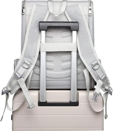 Рюкзак для кота та собаки, переноска для собак та котів, переноска для маленьких собак, валіза для авіаперельотів, чорний