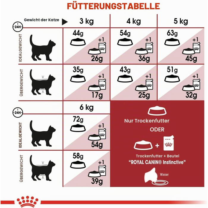 Корм для котів Royal Canin Feline Fit 32, сухий, для підтримки форми, 4 кг