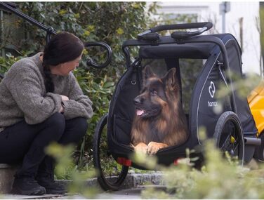 Haax Pluto: Амулет для собак, зелений (L, Чорний)