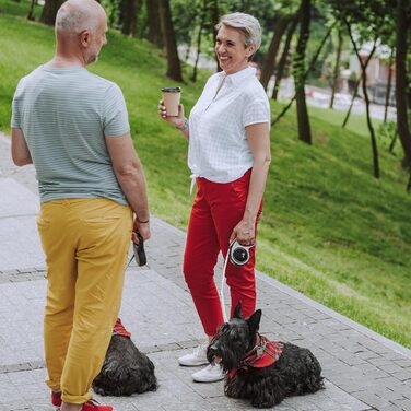 Рулетка для собак FLEXI New Comfort XS 3 м, до 12 кг, сіро-чорна, ергономічна, з міцною стрічкою