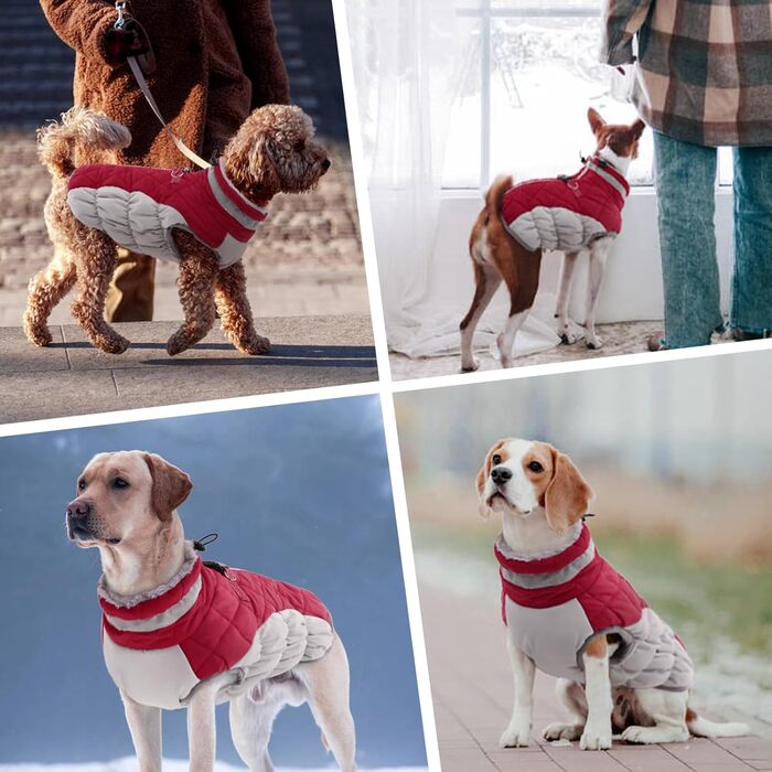 Водонепроникний зимовий теплий одяг для собак: куртка, жилет, пуховик, светр з кільцями D (червоний, 2XL) XXL Червоний
