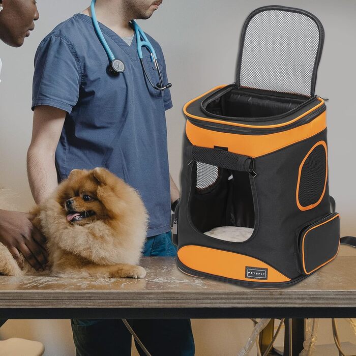 Рюкзак для котів і собак Petsfit до 5 кг, дихаючий, з вікном, чорний/помаранчевий