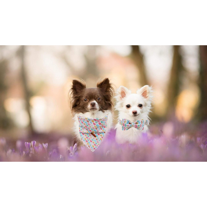 Оригінальний ошийник для собак і котів Unique Style Paws з бантиком, регульований, для середніх і великих порід, обхват шиї 40–66 см