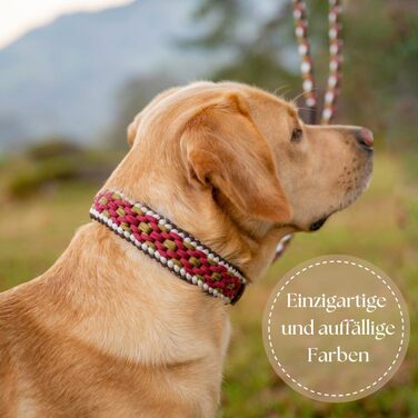 Нашийник для собак Ben&Bruno: широкий, регульований, ручної роботи, міцний, надійний, довговічний, з паракорду, для маленьких, середніх та великих собак, XL, багатокольоровий
