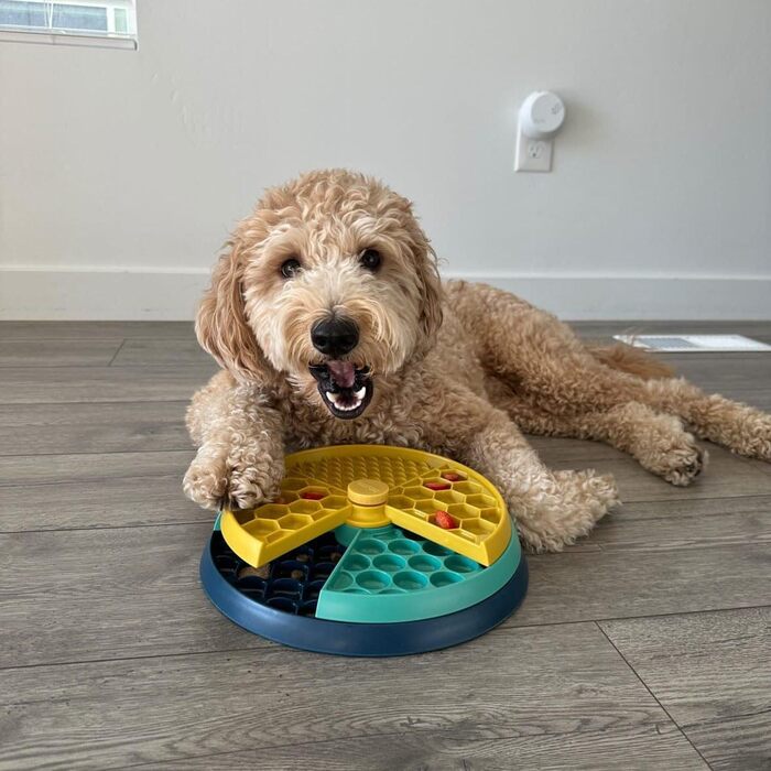 Інтерактивна іграшка-головоломка для собак CHEWFFON з обертовими шарами, повільний годівник, розвиває інтелект та стимулює розум