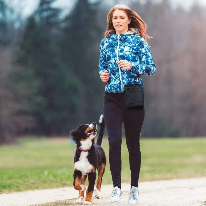 Сумка для собак Hanwell для ласощів та іграшок з дозатором для відходів, водонепроникна, сіра