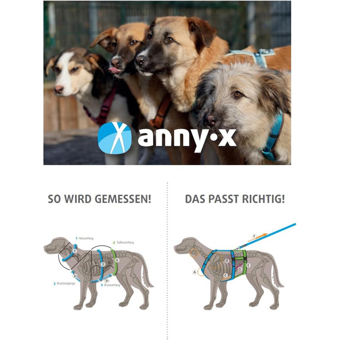 Anny-X нагрудник для собак, сірий/рожевий (L)