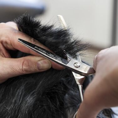 Професійна ножиця для грумінгу собак EHASO | 22 см, 44 зубці, сталь Solingen | Ножиці для стрижки собак